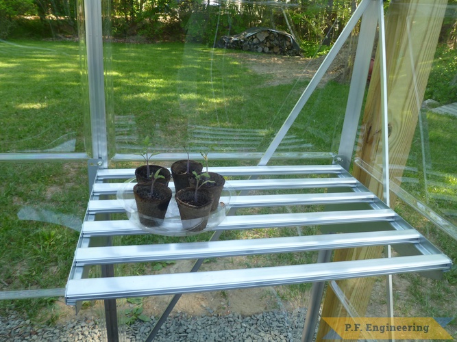 DIY - Palram Greenhouse Project | corner mounted palram shelf unit.palram 6x10 greenhouse project